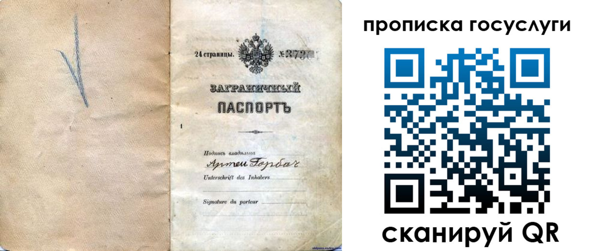 прописка законно в Звенигово